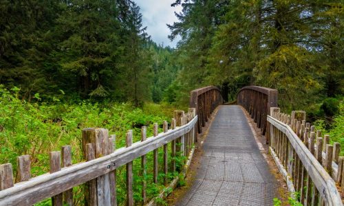 Alaska - Tongass Nationalforest, Wanderung