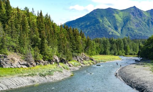 Alaska - Fluss am Mountain Valley